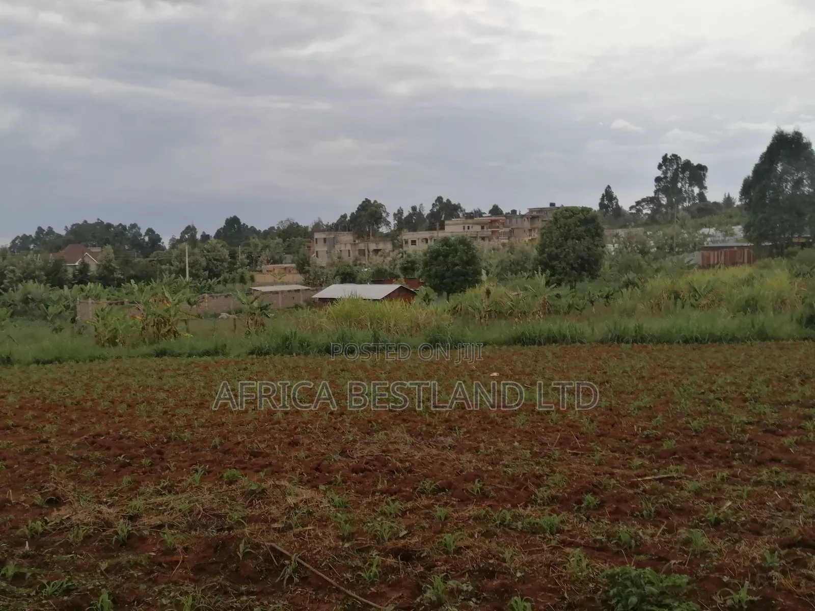 50x100 Plot for Sale in Kikuyu Gikambura in Kikuyu