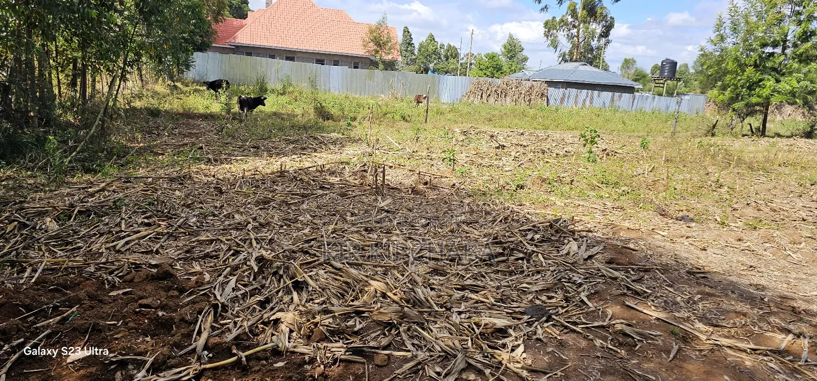 Prime 1⁄4 Acre Plot For Sale In Outspan Dc In Eldoret in Racecourse