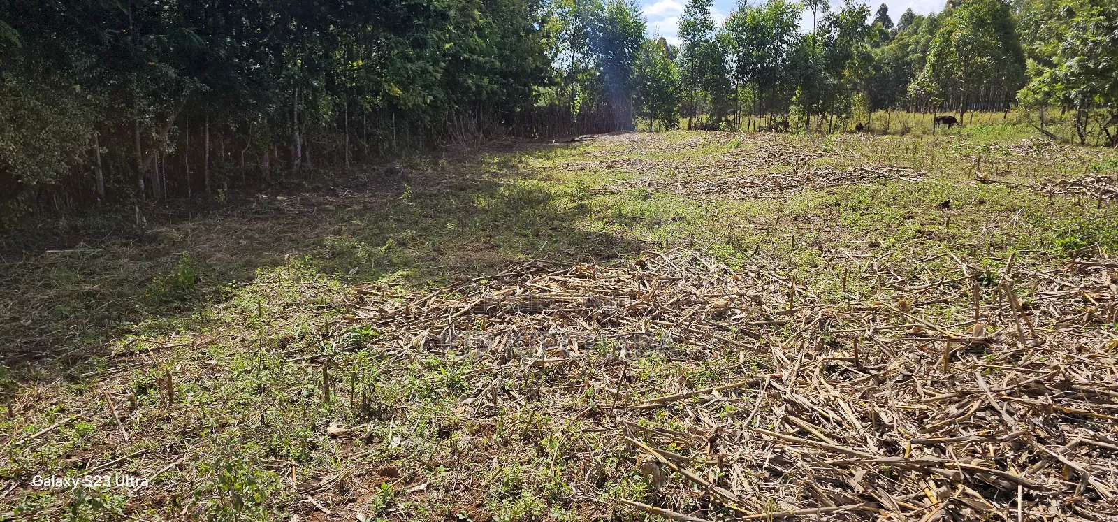 Prime 1⁄4 Acre Plot For Sale In Outspan Dc In Eldoret in Racecourse