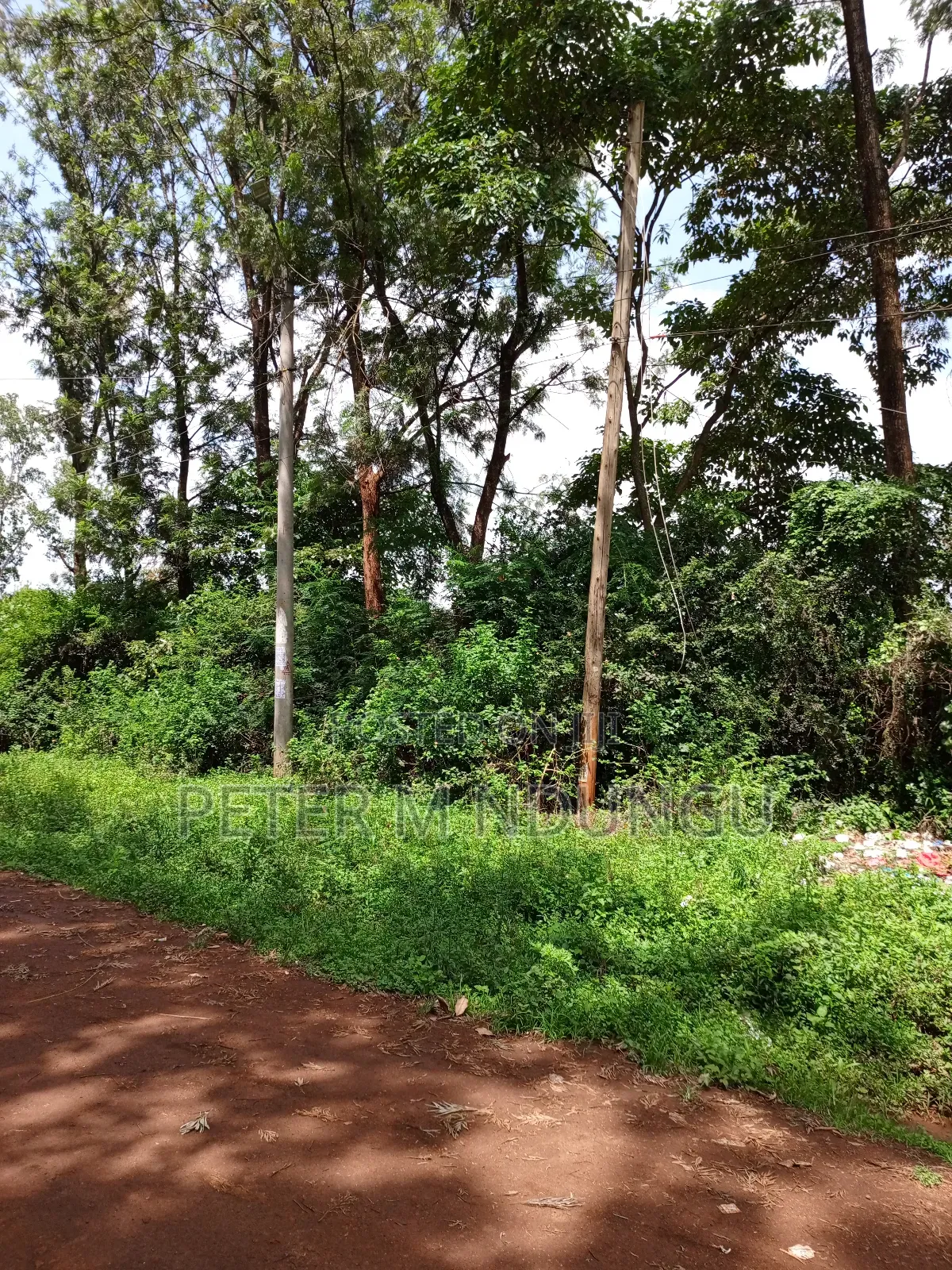 Thindigua Prime 2.25 Acres in Kiambu / Kiambu