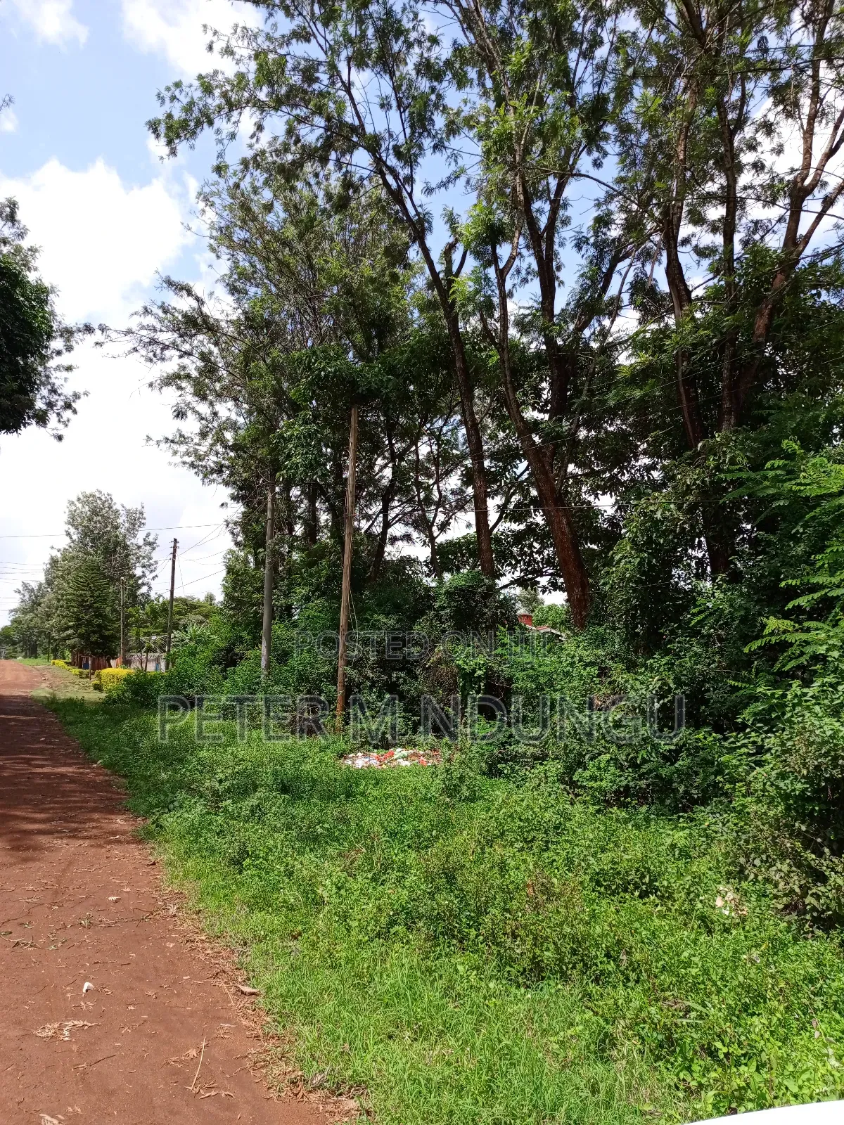 Thindigua Prime 2.25 Acres in Kiambu / Kiambu