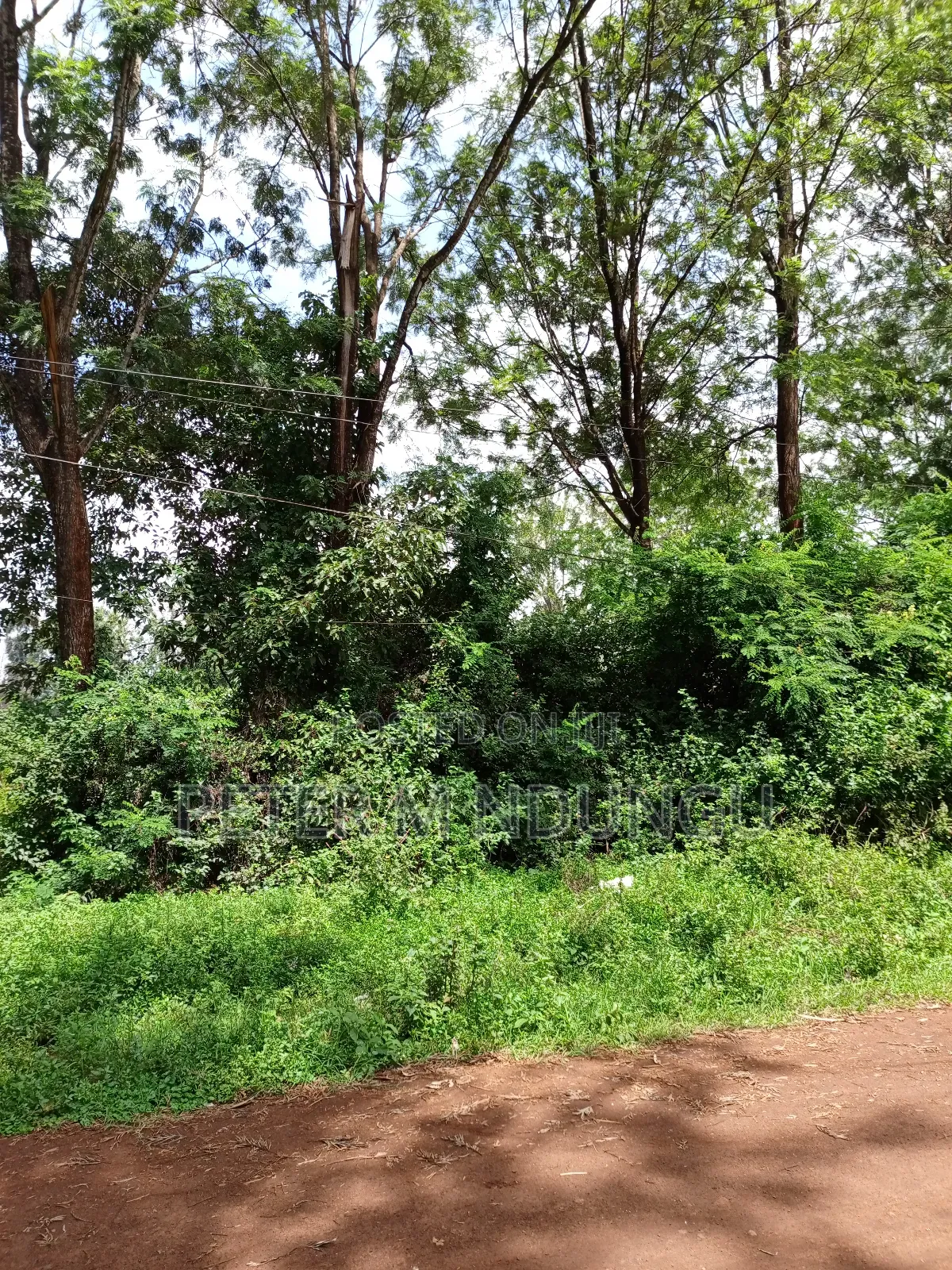Thindigua Prime 2.25 Acres in Kiambu / Kiambu