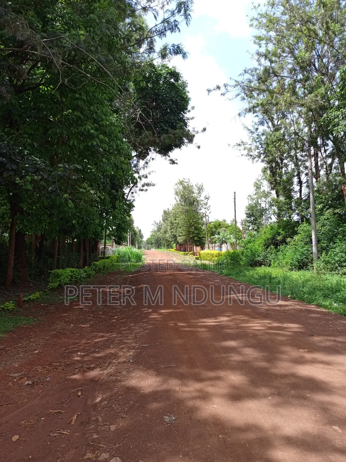 Thindigua Prime 2.25 Acres in Kiambu / Kiambu