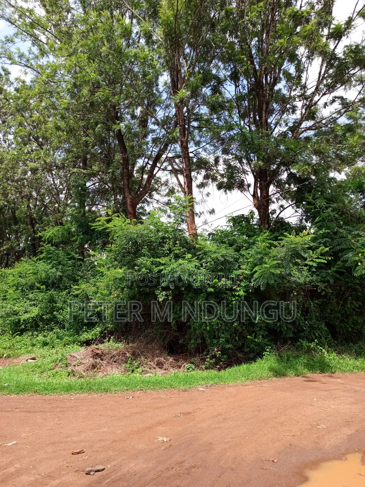 Thindigua Prime 2.25 Acres in Kiambu / Kiambu