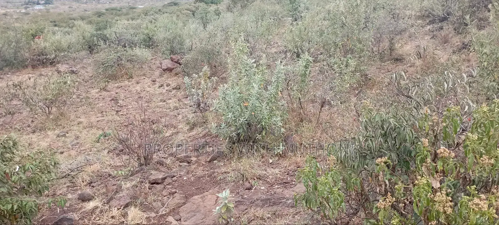 Plot for Sale in Kimuka, Ngong - Don't Miss Out on This Opportunity! in Kibiku
