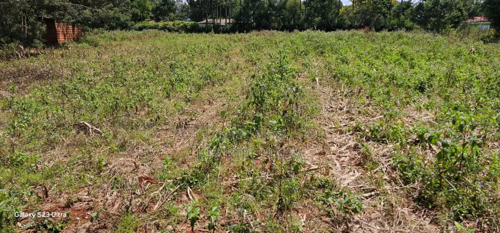 1⁄2 Acre Commercial Racecours Elgonview Eldoret in Elgon View
