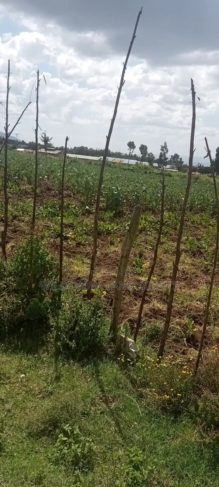 Plot With a House on Sale at Kinungi Naivasha in Naivasha East