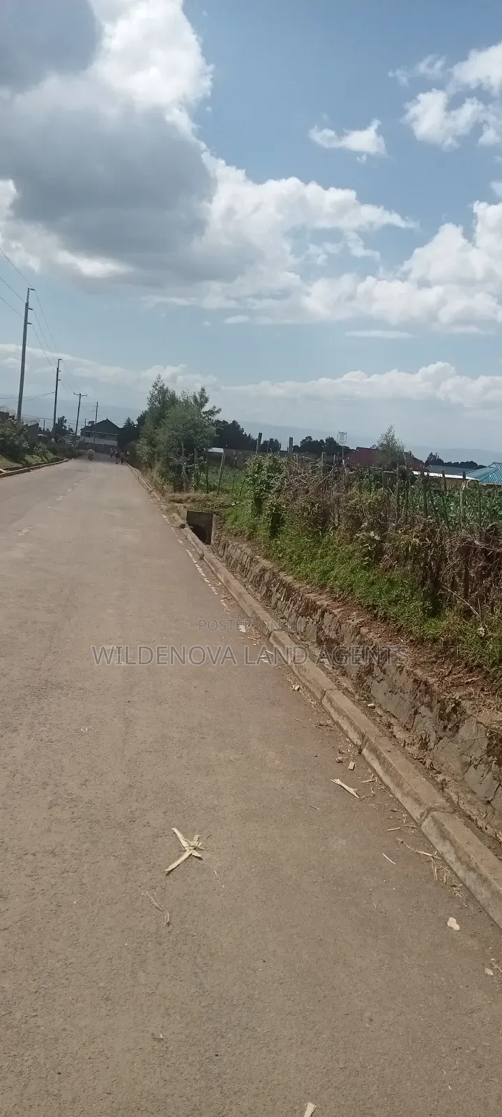Plot on Sale at Kinungi Naivasha in Naivasha East
