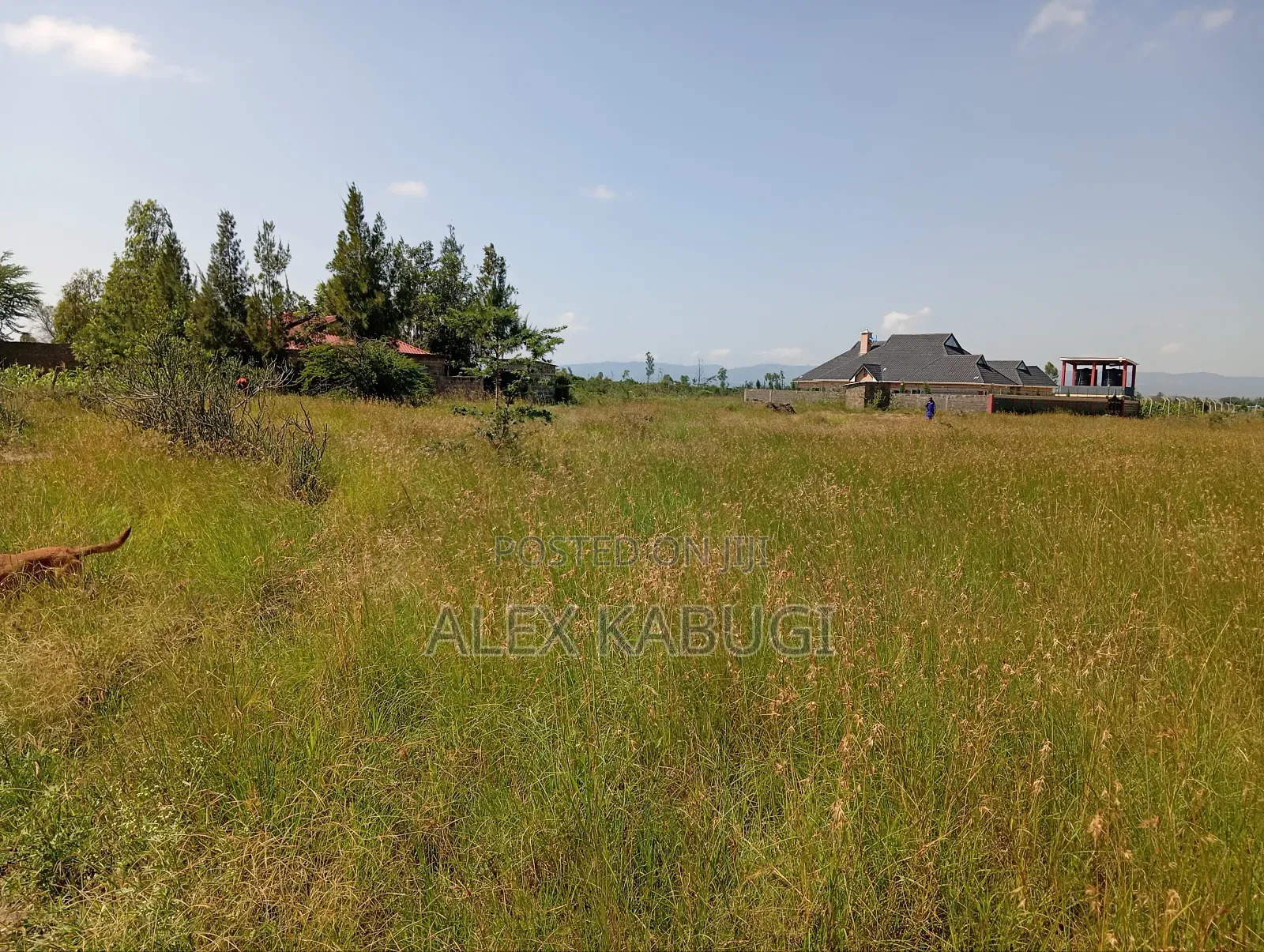 1 Acre for Sale Kamulu in Kamulu