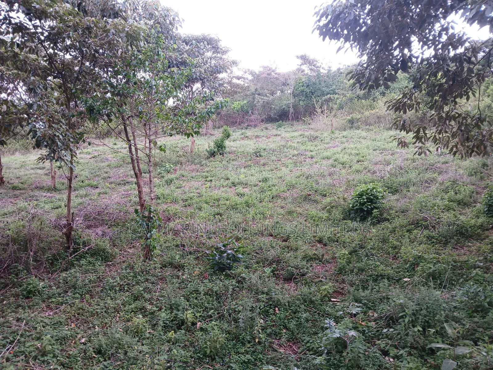 Prime Redsoil Quarter Acre in Karen View Estate, Matasia in Matasia