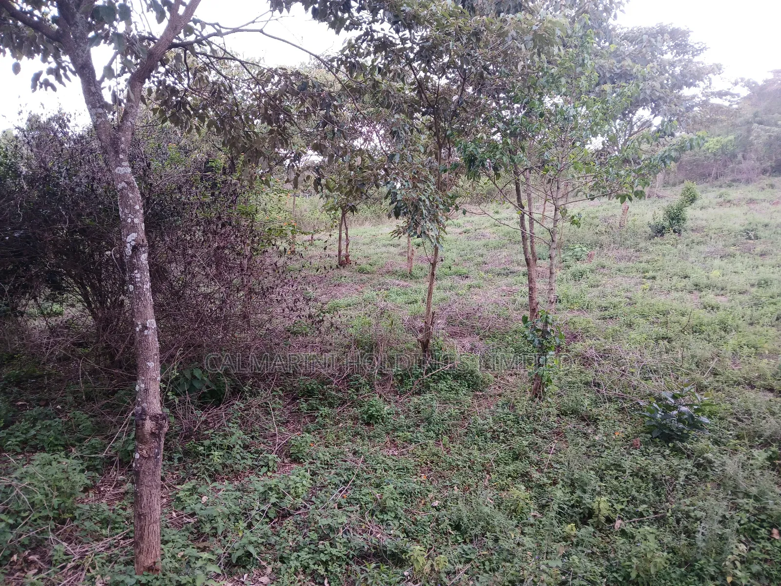 Prime Redsoil Quarter Acre in Karen View Estate, Matasia in Matasia