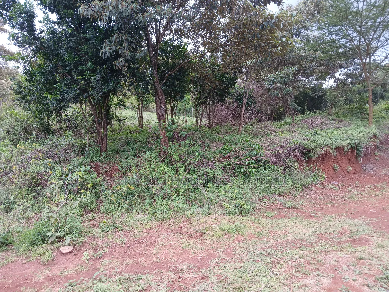 Prime Redsoil Half Acre Plot at Karen View, Matasia in Matasia
