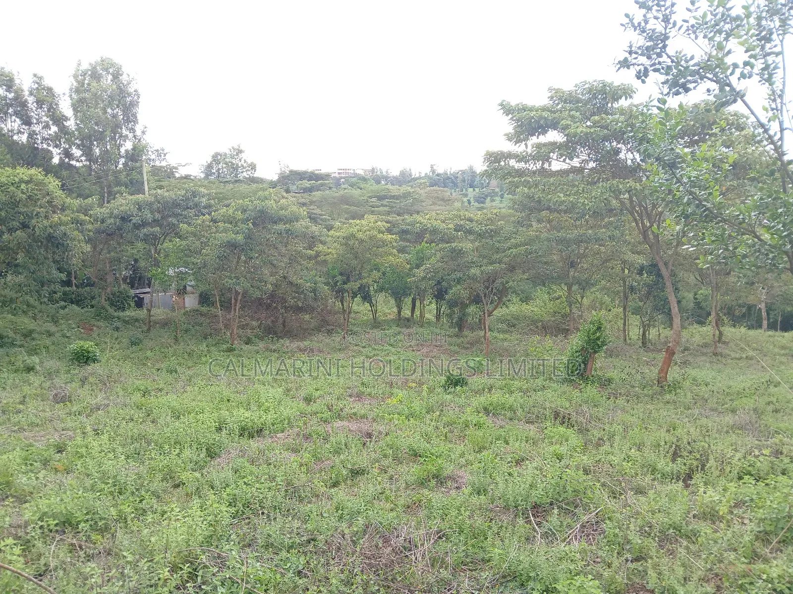 Prime Redsoil Half Acre Plot at Karen View, Matasia in Matasia