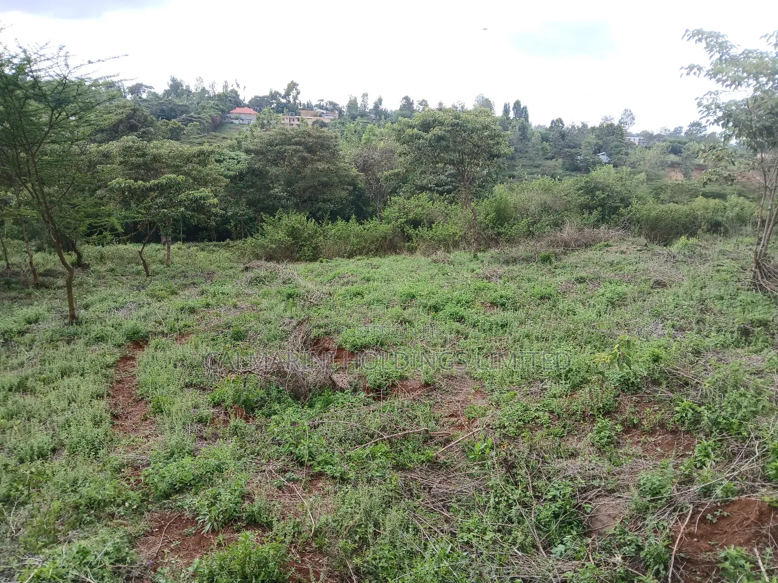 Prime Redsoil Half Acre Plot at Karen View, Matasia in Matasia