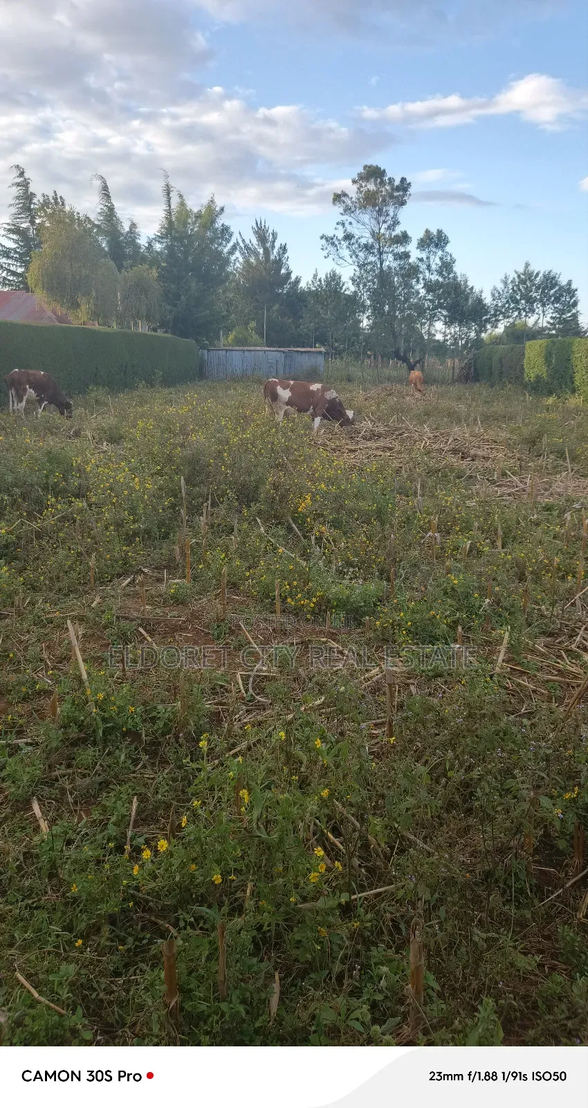 1/4 Plot Annex (Outspan) With Title. in Eldoret West
