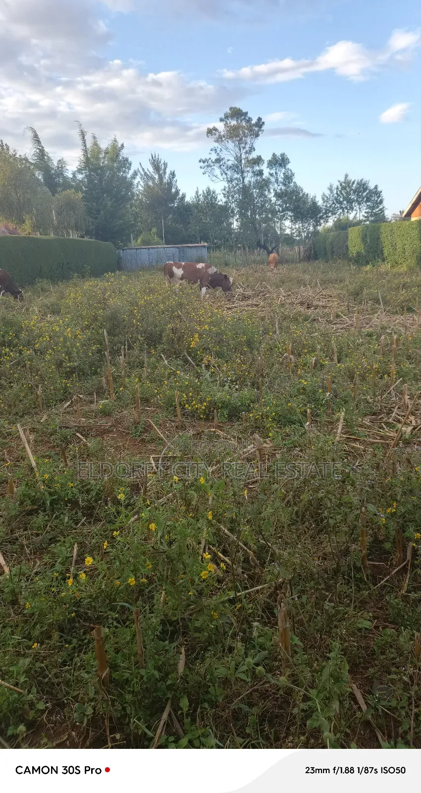1/4 Plot Annex (Outspan) With Title. in Eldoret West