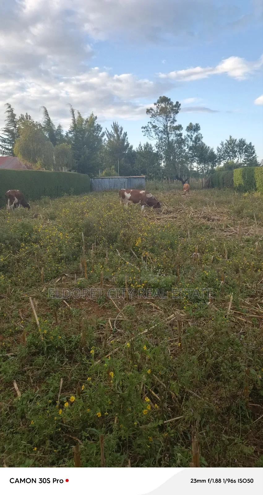 1/4 Plot Annex (Outspan) With Title. in Eldoret West