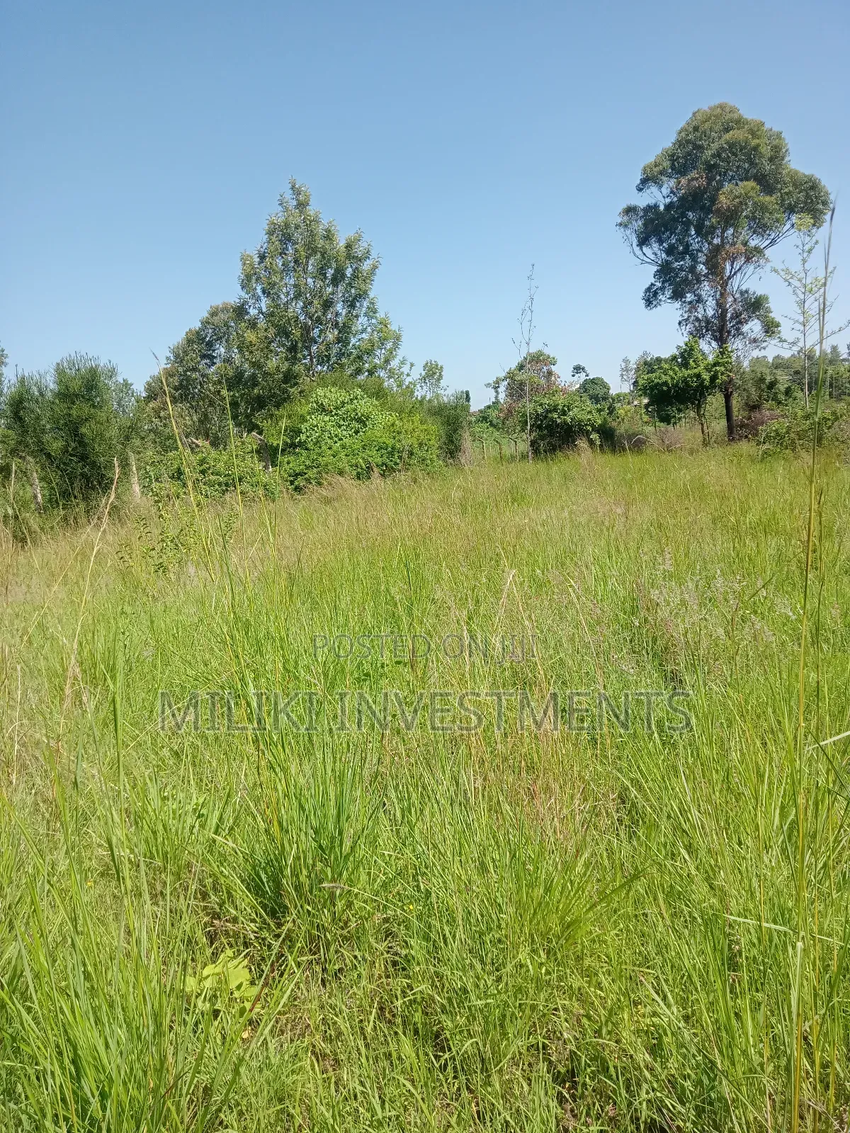 1.6 Acres Land on Sale at Makenji in Kimorori/Wempa