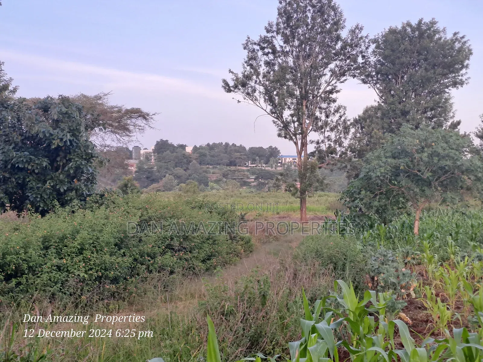 14 Acres Kerarapon Drive for Sale as Block 200mts FRM Tarmac in Kerarapon