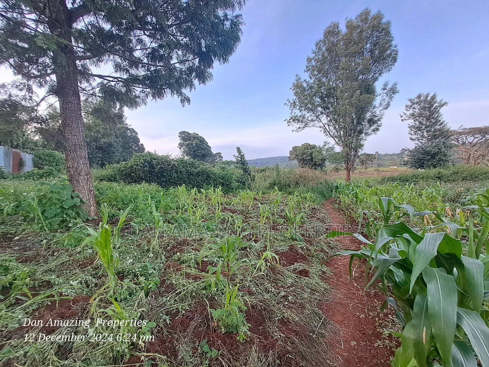 14 Acres Kerarapon Drive for Sale as Block 200mts FRM Tarmac in Kerarapon