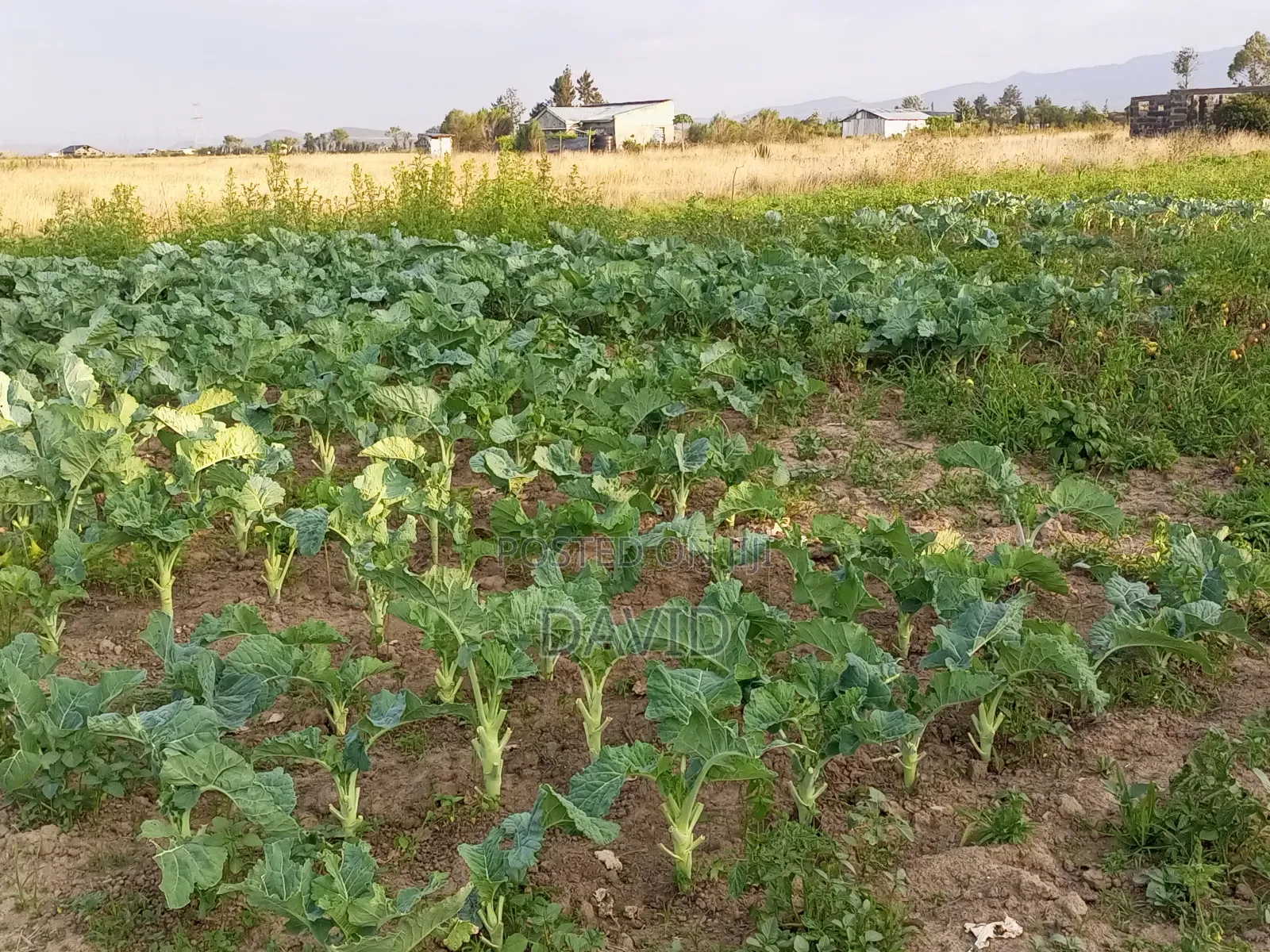 Plot for Sale in Mutaita (Oljorai Elmentaita) in Nakuru Town East