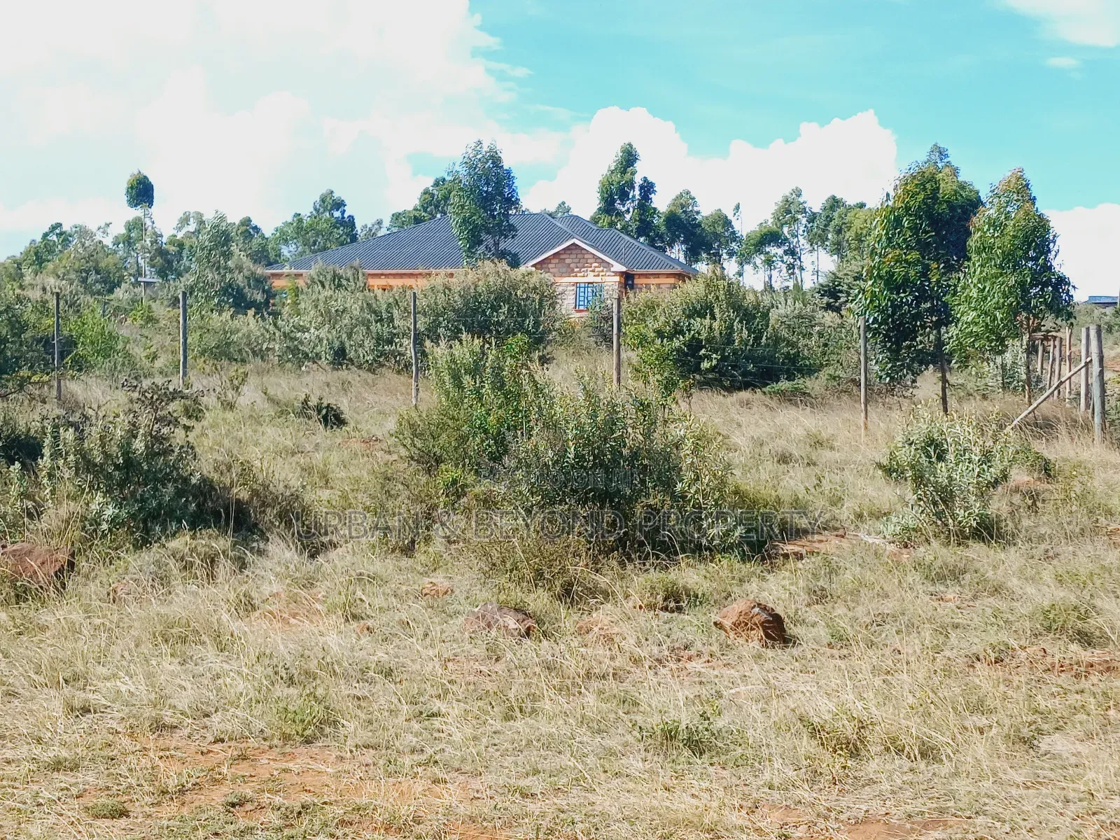 Prime( 50 by 100ft)Plots for Sale- In a Gated Estate Setup in Kikuyu