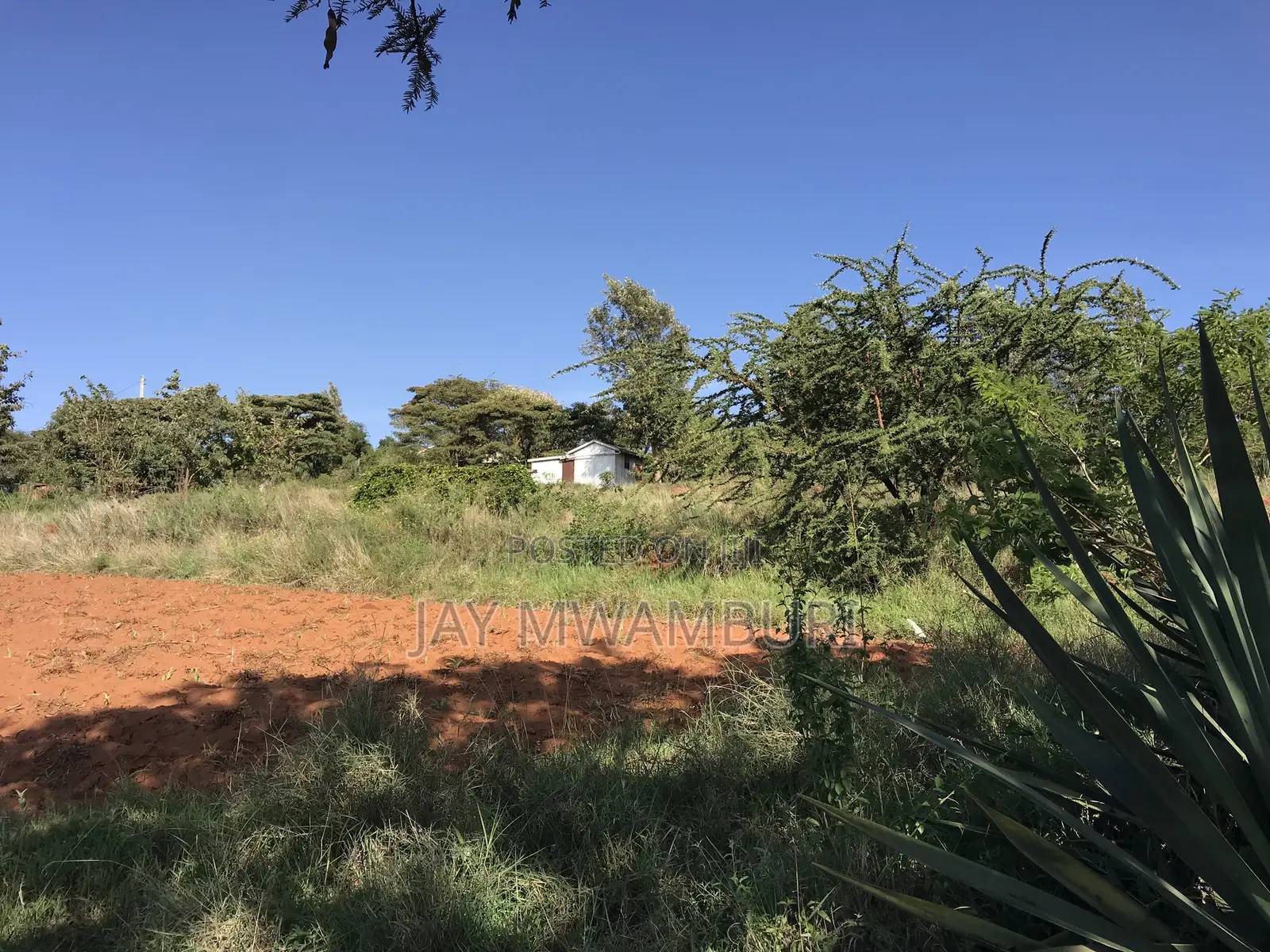 Two Acres Land Mua Hills in Mua Hills