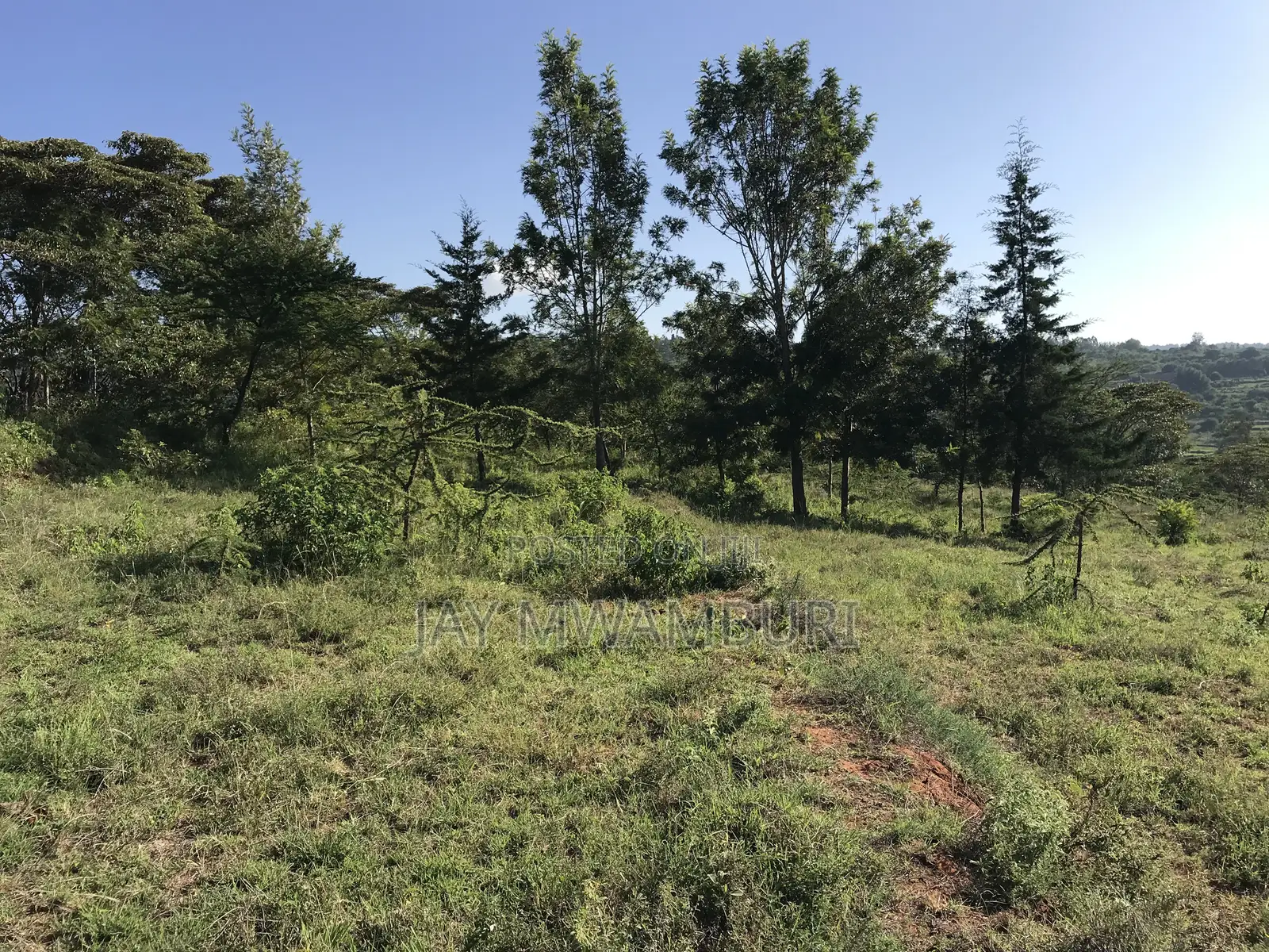 Two Acres Land Mua Hills in Mua Hills