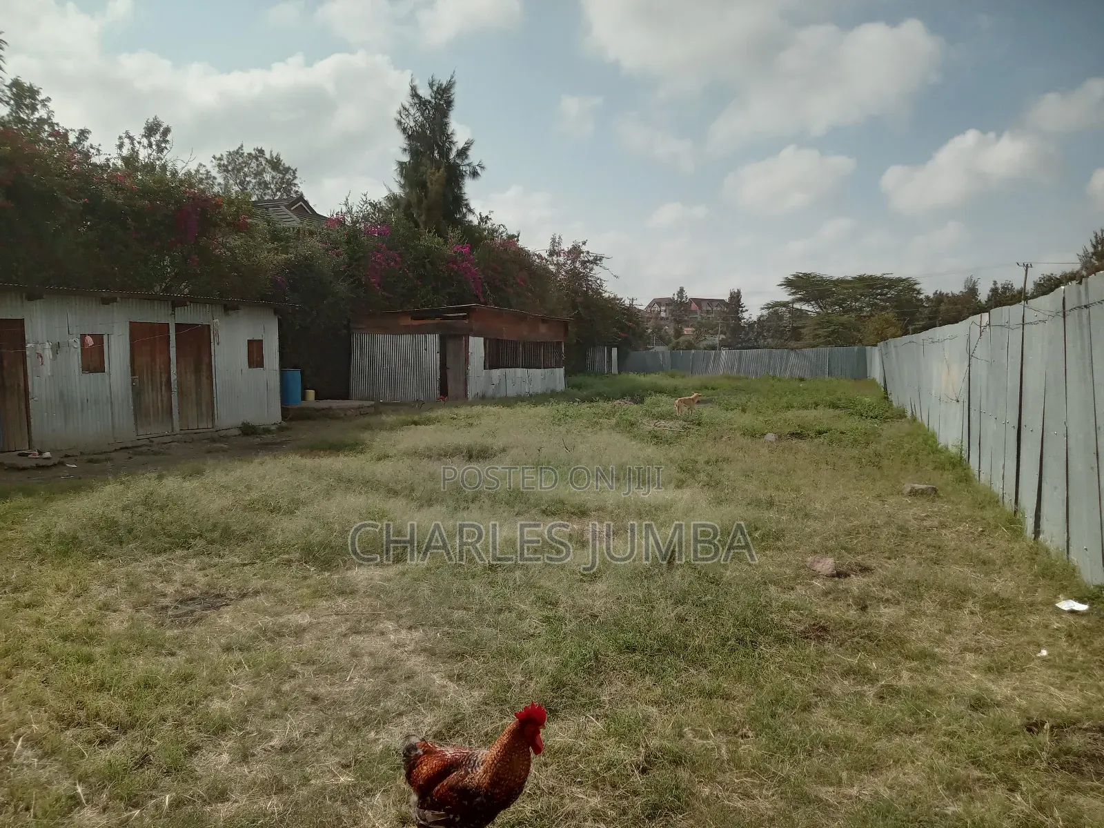 Prime 1/4 Plot in Milimani in Kitengela
