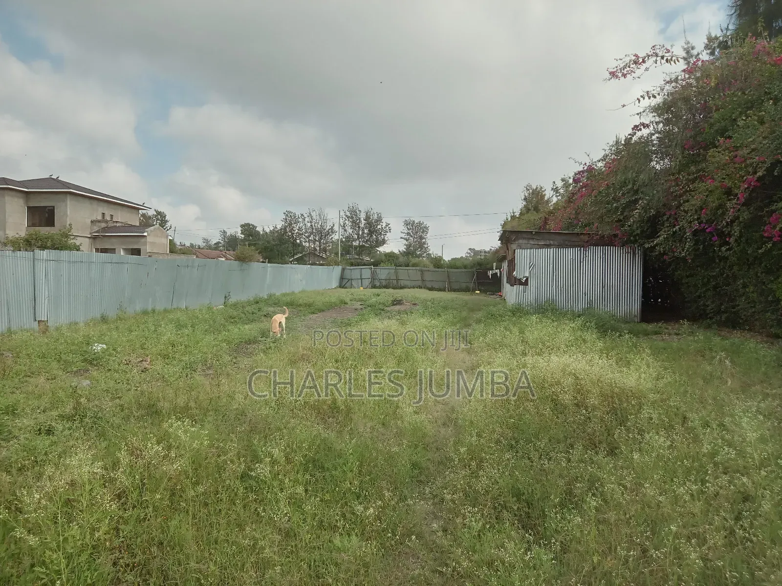 Prime 1/4 Plot in Milimani in Kitengela