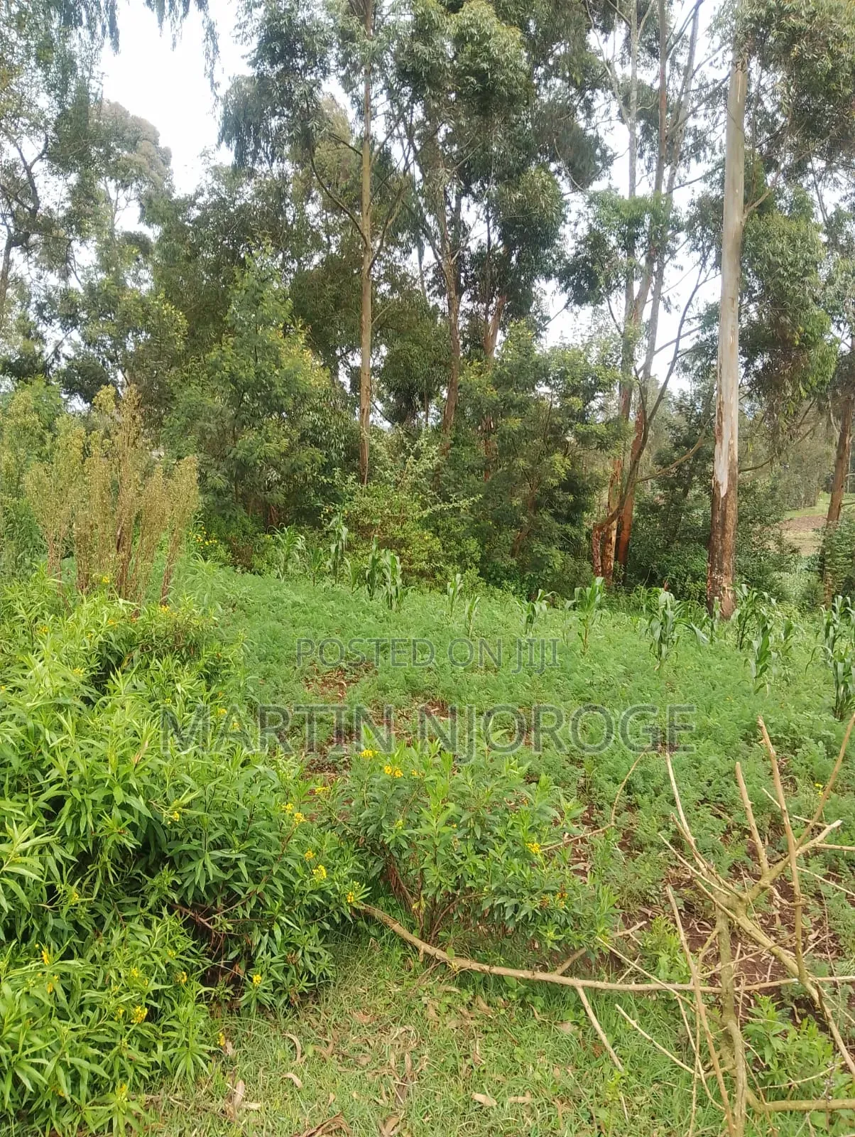 5 Acres Mwendandu in Magumu