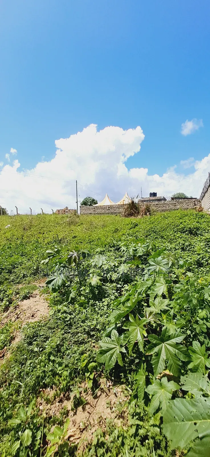 For Sale 2 Plots Mtwapa in Mtwapa
