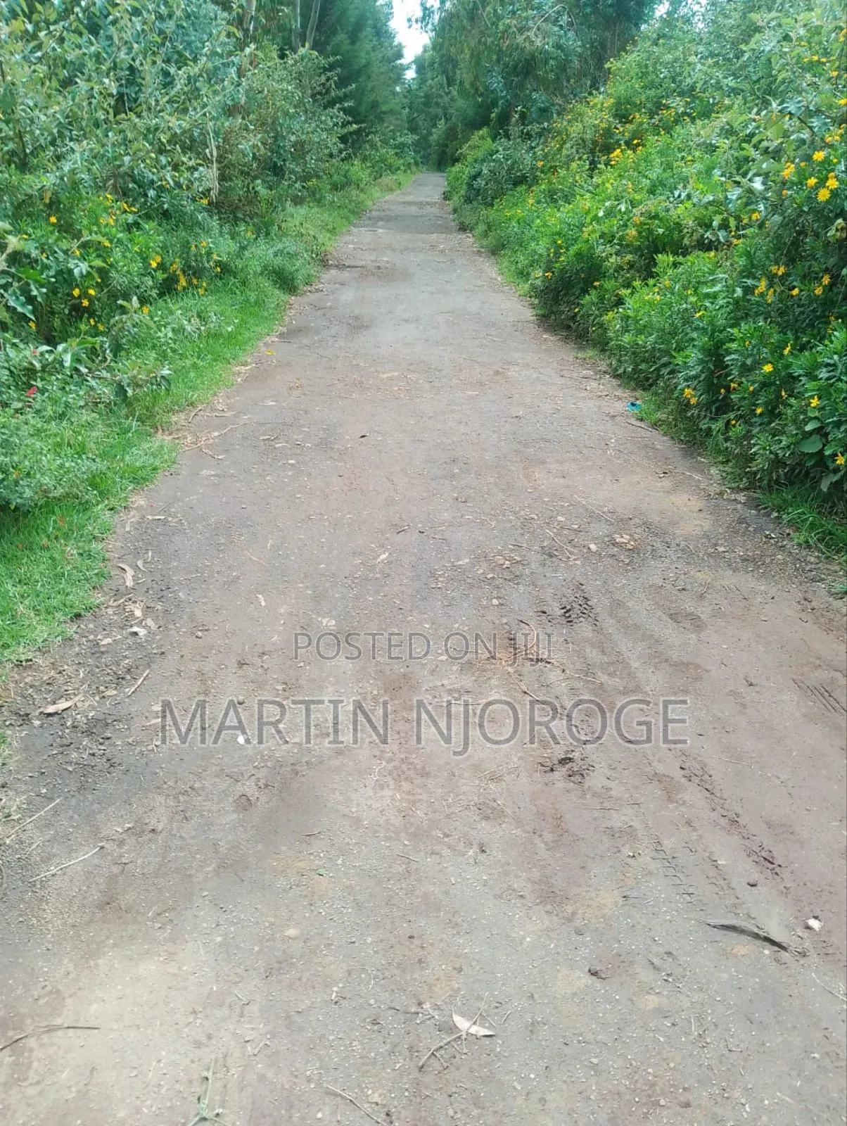 5 Acres Mwendandu in Magumu