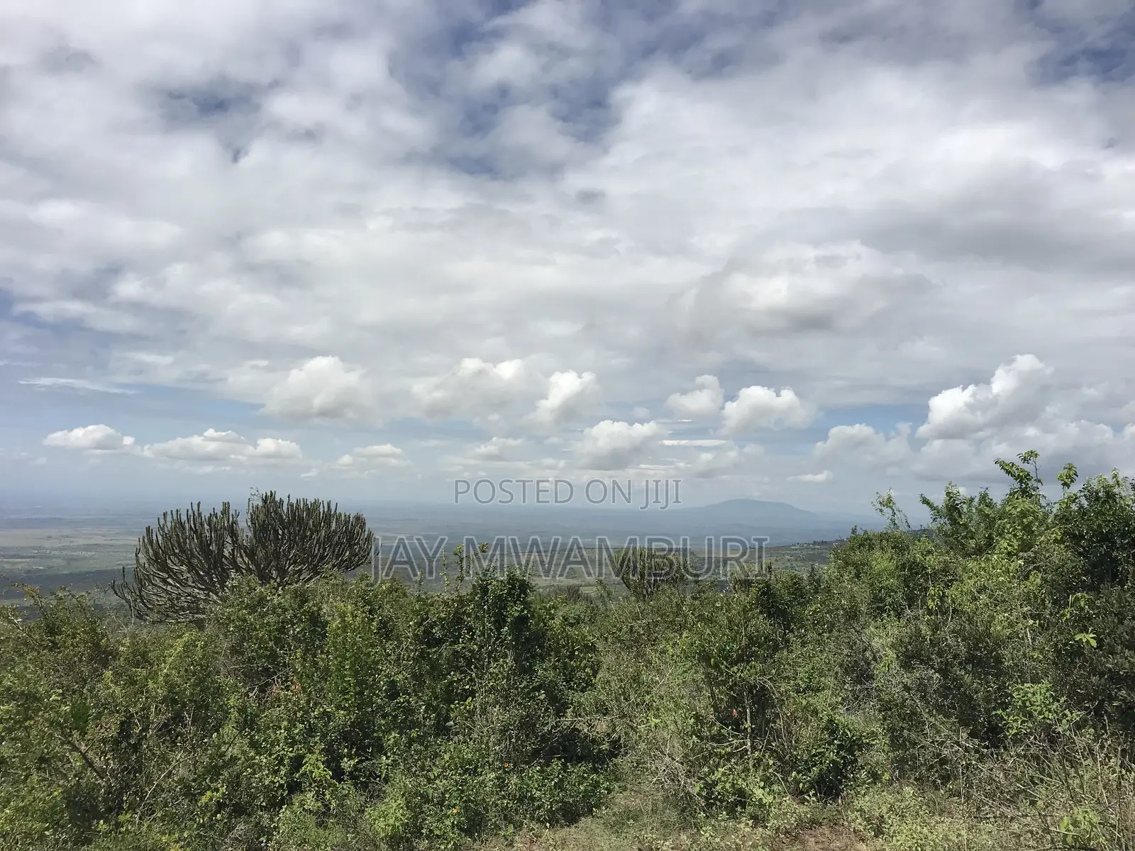 Iconic 1 Acre 1/2 Mua Hill in Mua Hills