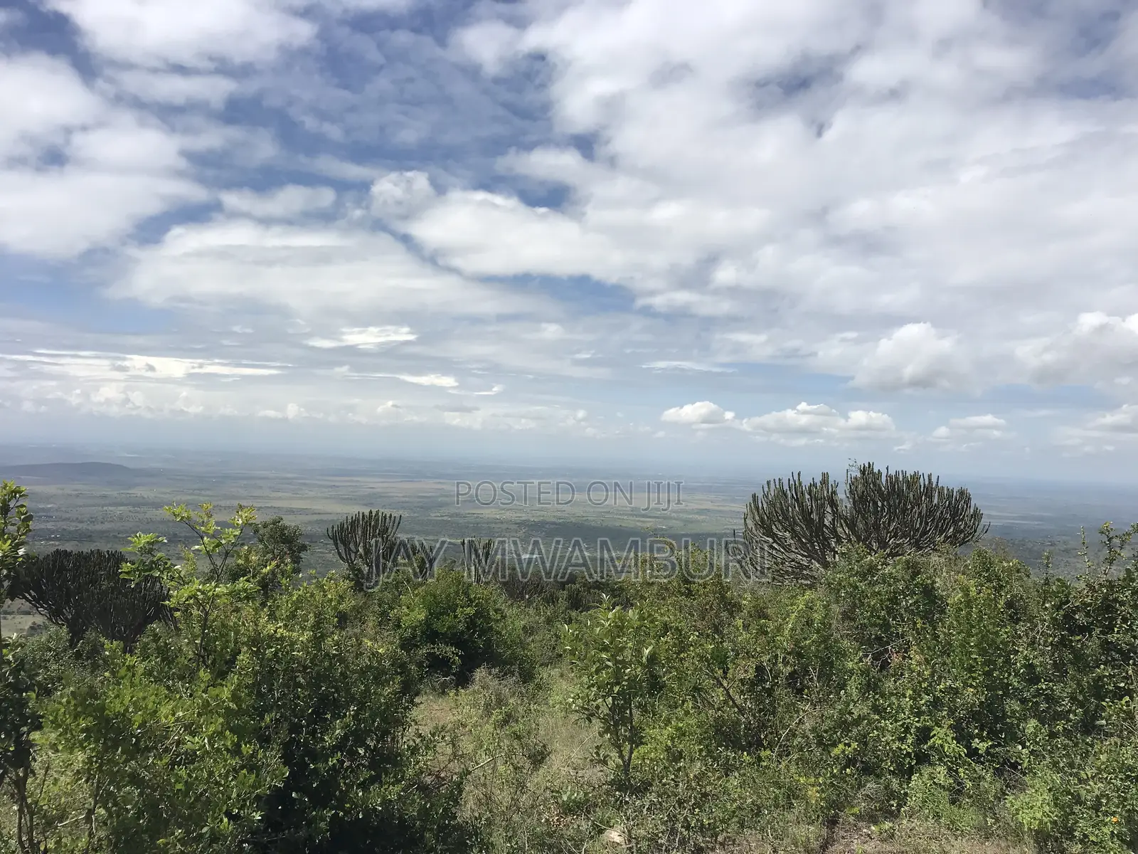 Iconic 1 Acre 1/2 Mua Hill in Mua Hills