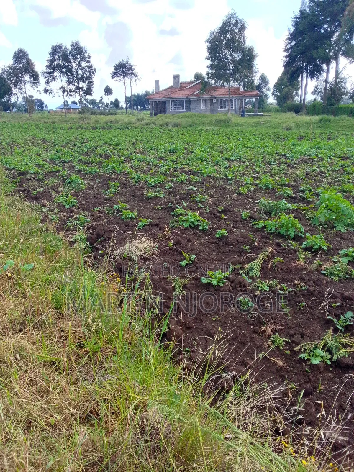 1⁄2 Acre Mwendandu in Magumu