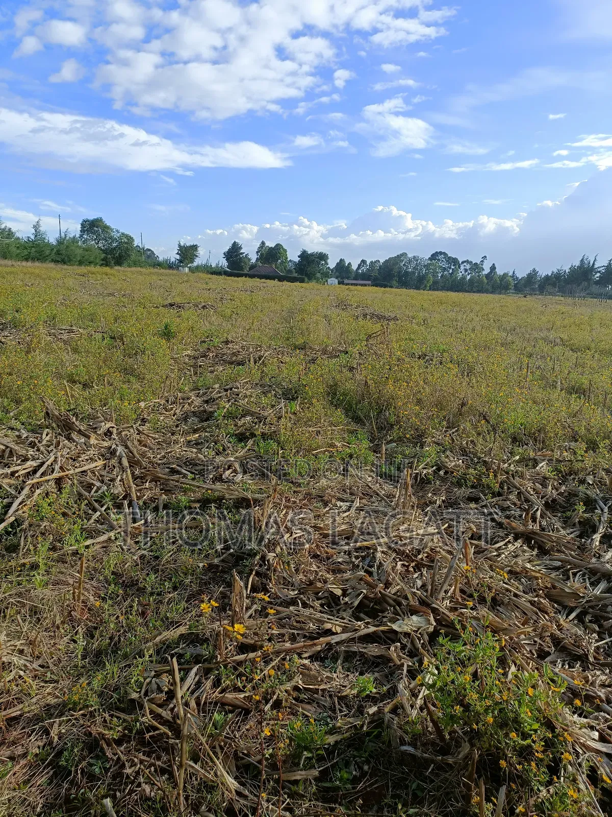 Eldoret Chepkanga Prime Residential Plots on Sale in Sergoit