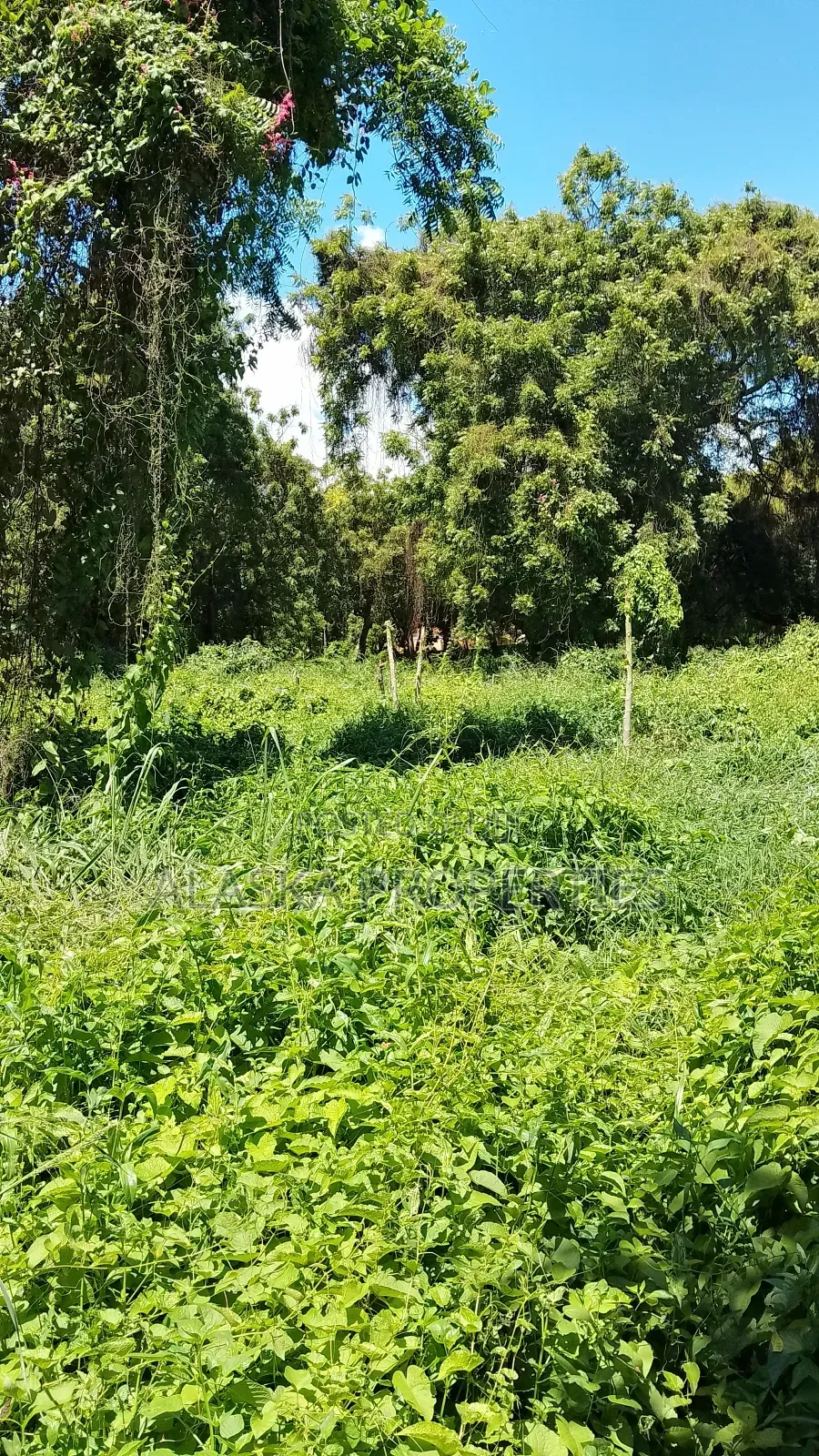2 Acre Plot for Sale in Nyali Estate in Nyali
