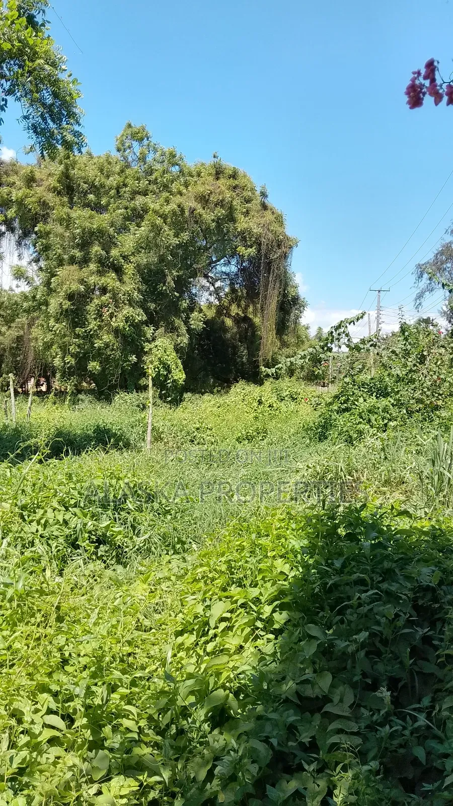 2 Acre Plot for Sale in Nyali Estate in Nyali