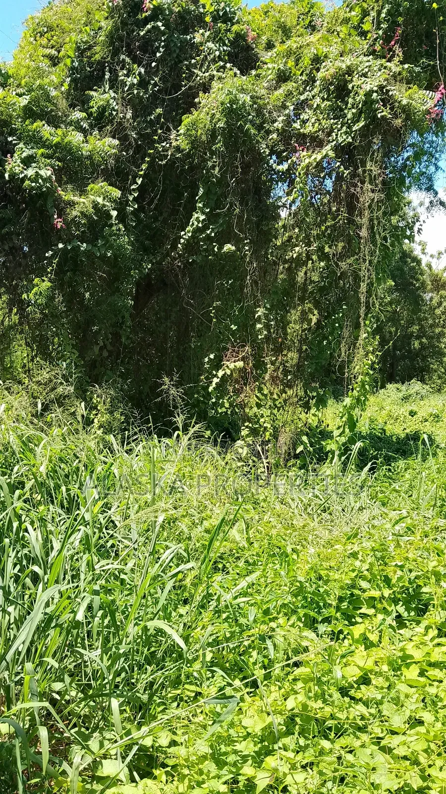 2 Acre Plot for Sale in Nyali Estate in Nyali