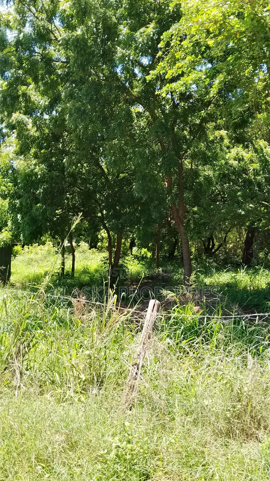 2 Acres for Sale in Nyali Green Wood Estate in Nyali
