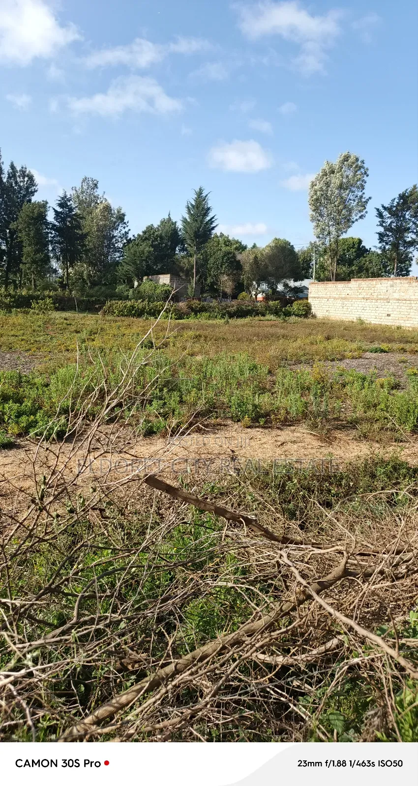 1/4 Plot Kimumu/Better Farm With Title in Eldoret CBD