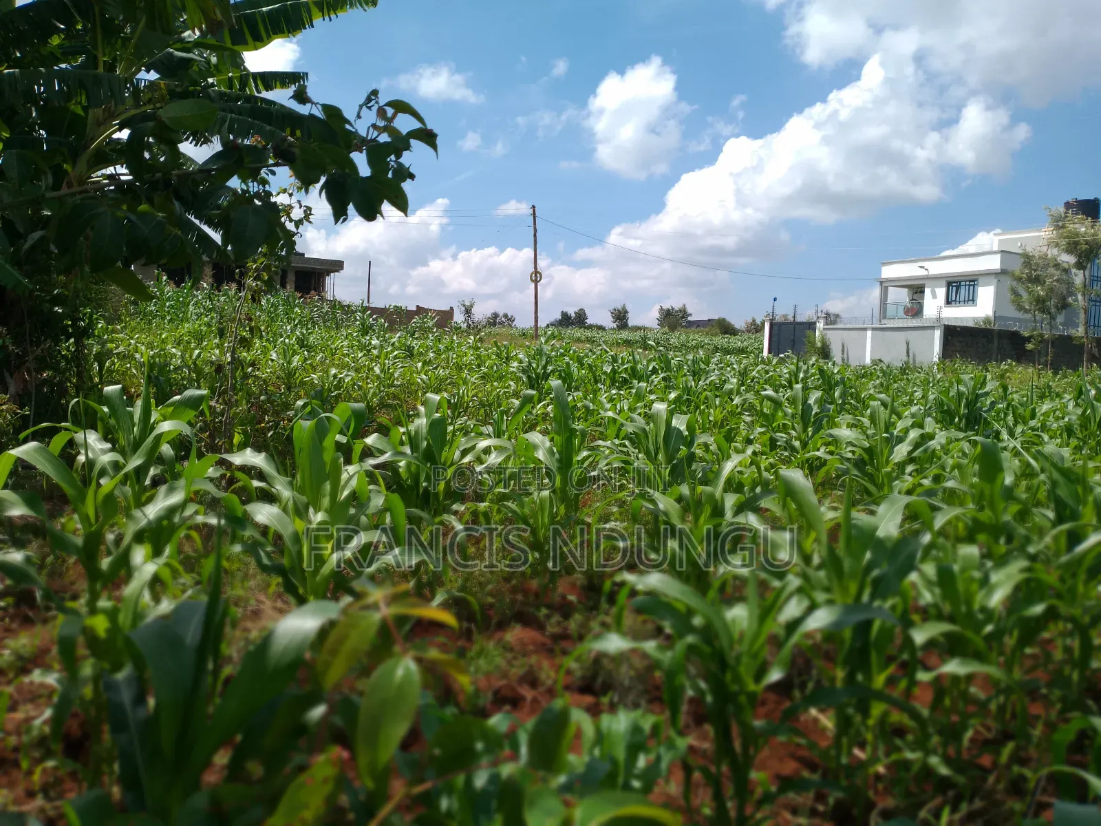 Residential Plots Just 4 Km From Kirigiti Town Near Migaa in Riabai