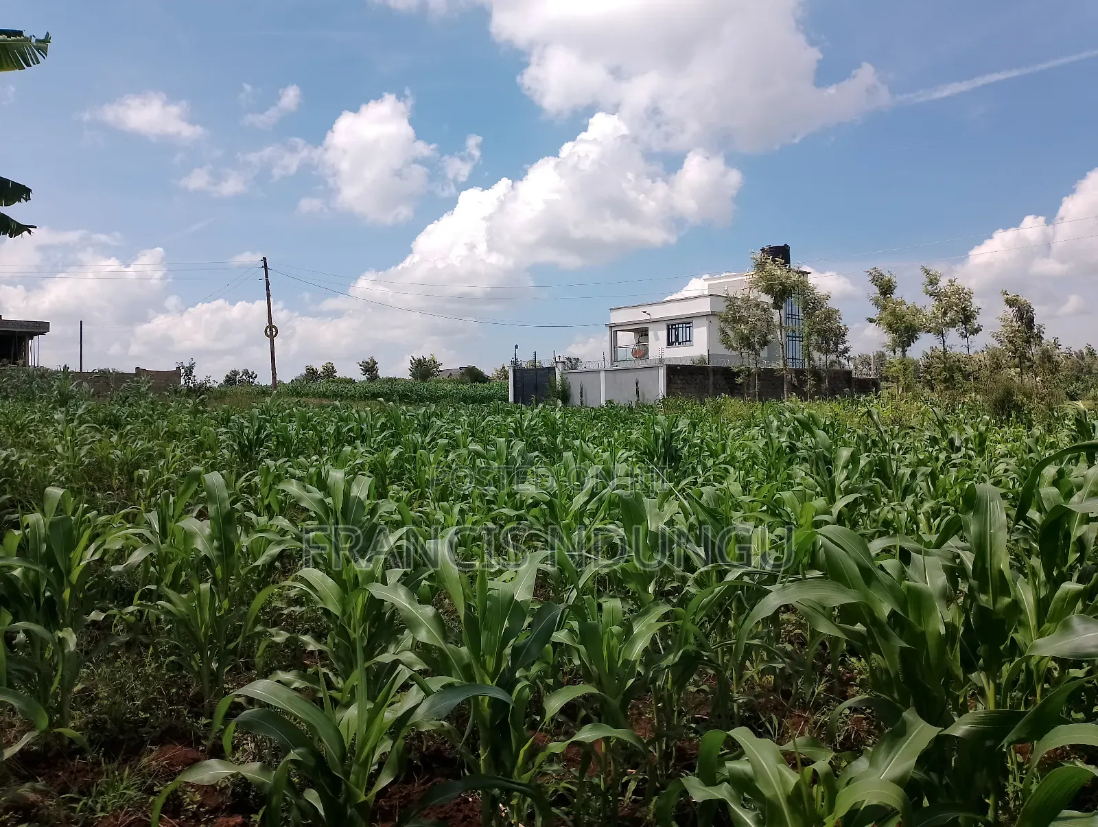 Residential Plots Just 4 Km From Kirigiti Town Near Migaa in Riabai