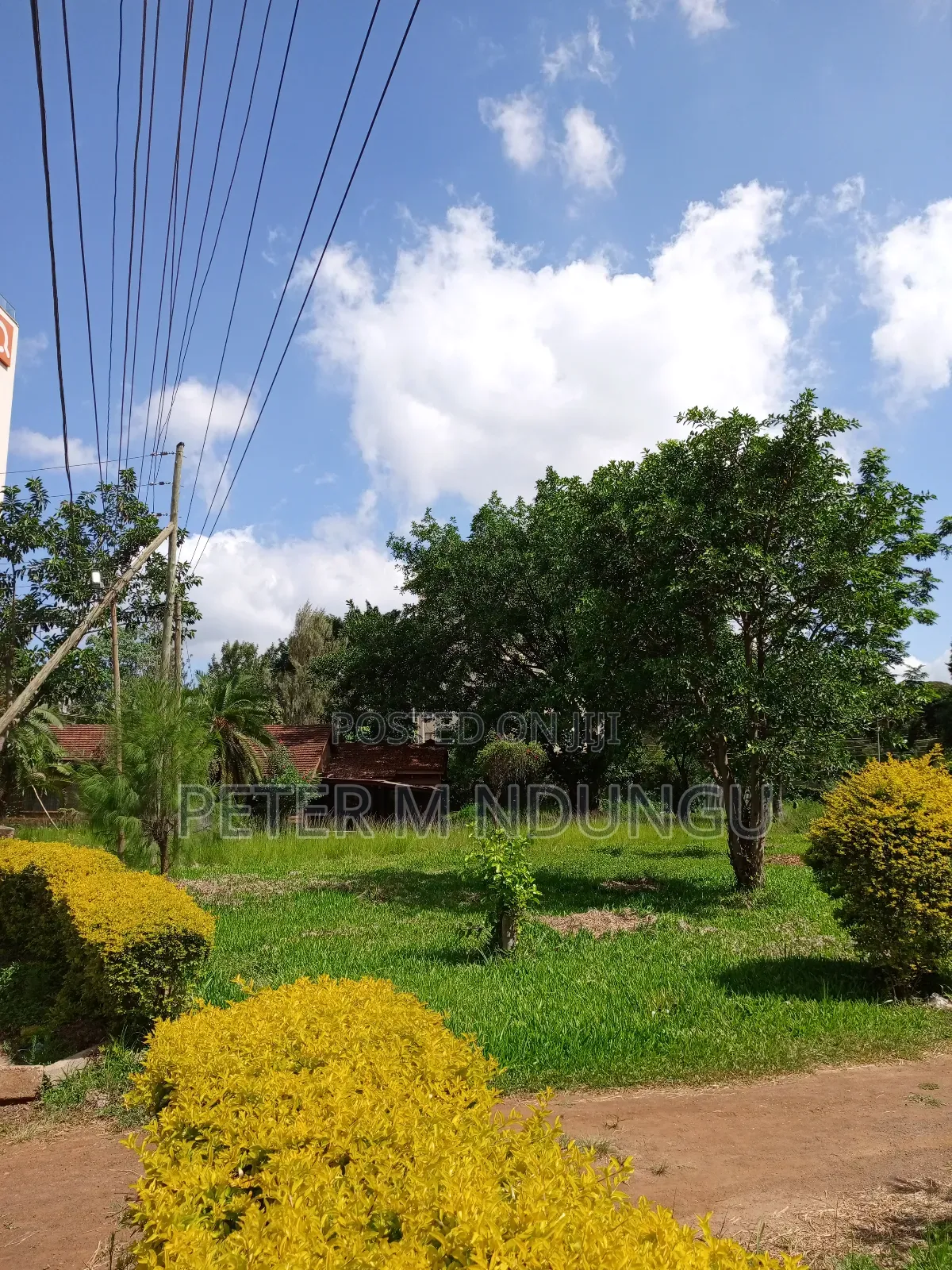Prime Land 1/2 Acre Safari Park in Thome