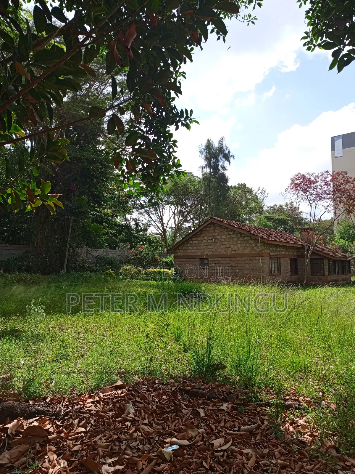 Prime Land 1/2 Acre Safari Park in Thome