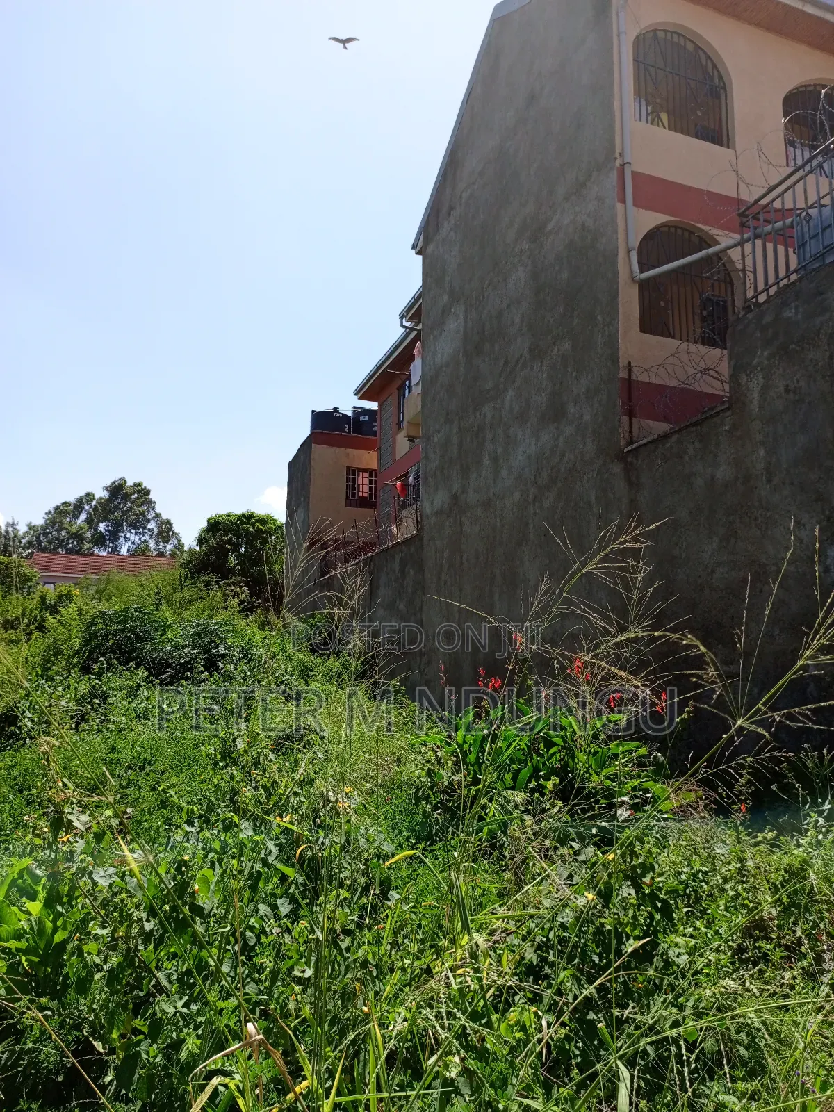 Prime Land on Sale, 1/2 Acre, Off Mirema Drive in Zimmerman