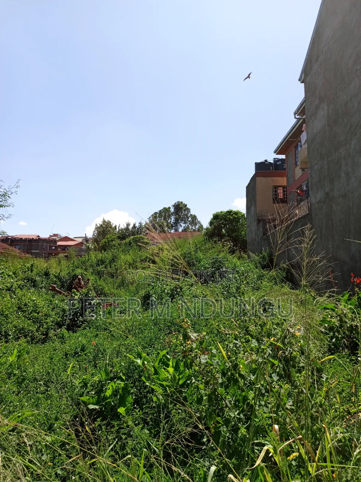 Prime Land on Sale, 1/2 Acre, Off Mirema Drive in Zimmerman