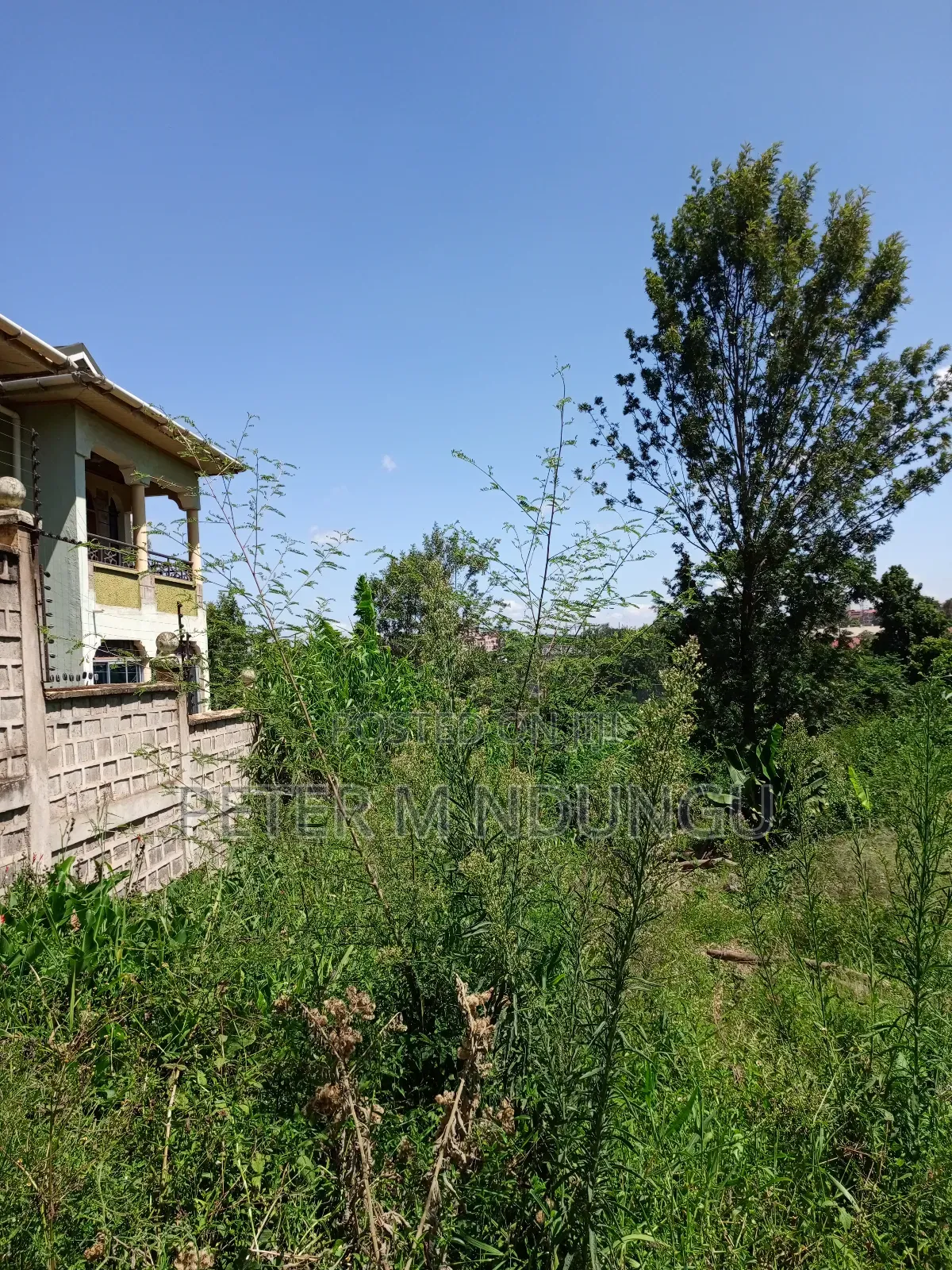 Prime Land on Sale, 1/2 Acre, Off Mirema Drive in Zimmerman