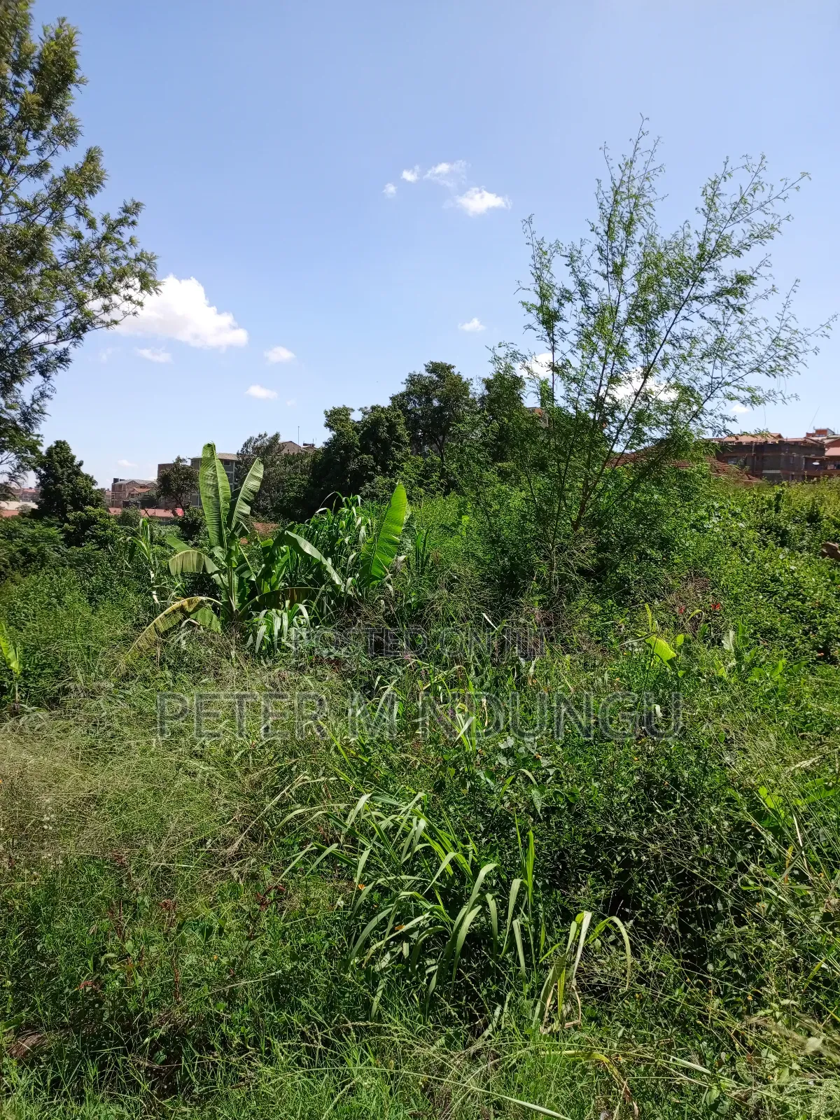 Prime Land on Sale, 1/2 Acre, Off Mirema Drive in Zimmerman